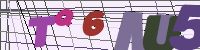 Chuck Norris has counted to infinity. Twice.